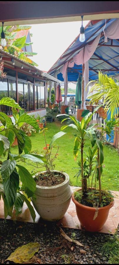 Hotel La Cueva Limon Ngoại thất bức ảnh